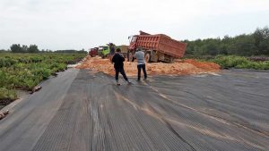 geogrid